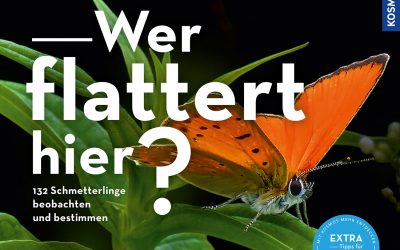 Wer flatter hier? Vortrag von Schmetterlingsforscher und Fotograf Rainer Ulrich – 11.05.2023